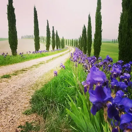 Tenuta Di Corsano Farm stay *
